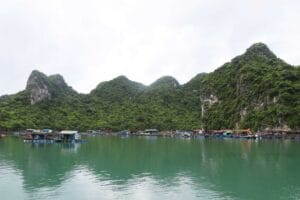 Khai thác luồng Bái Tử Long Lạch Sâu