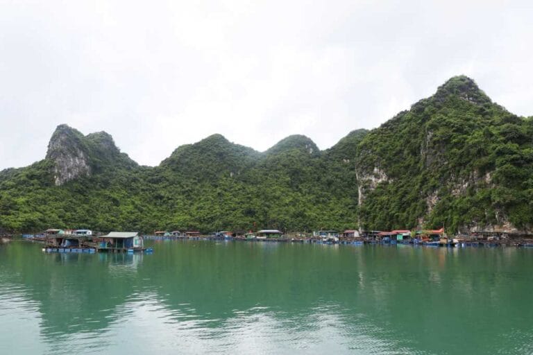 Khai thác luồng Bái Tử Long Lạch Sâu