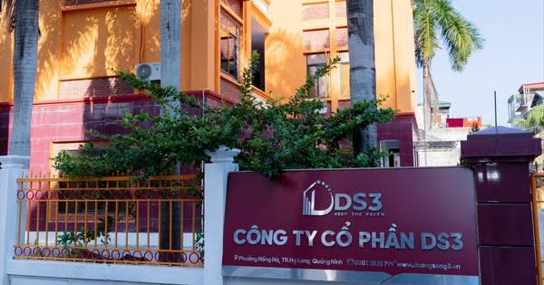 Sự cộng hưởng giữa một HĐQT có tầm nhìn chiến lược vĩ mô và một Ban Tổng Giám đốc xông xáo, quyết liệt tại hiện trường đã tạo ra một sức mạnh vô song.