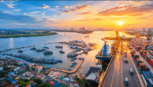 Hình ảnh minh họa